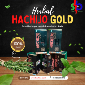 Distributor Hachijo Gold Murni